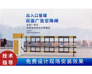苍山新款空降闸
