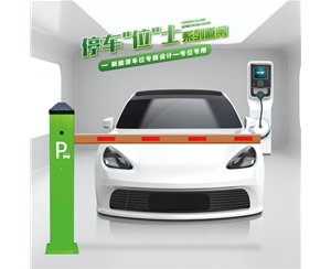 苍山RG-CW系列车位小道闸